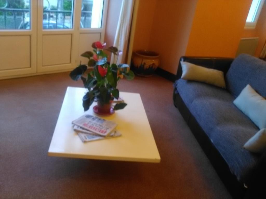 Hotel Du Parc Salies-du-Salat エクステリア 写真